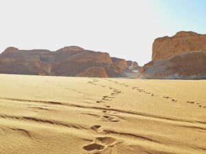 Marcher dans le désert blanc d'Egypte